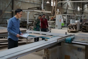 Tripeak wooden door manufacturer's production management