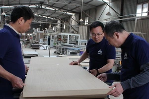 Tripeak wooden door manufacturer's quality management