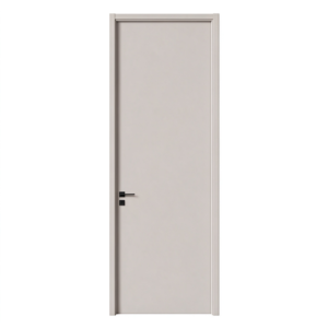 Solid Modern Door