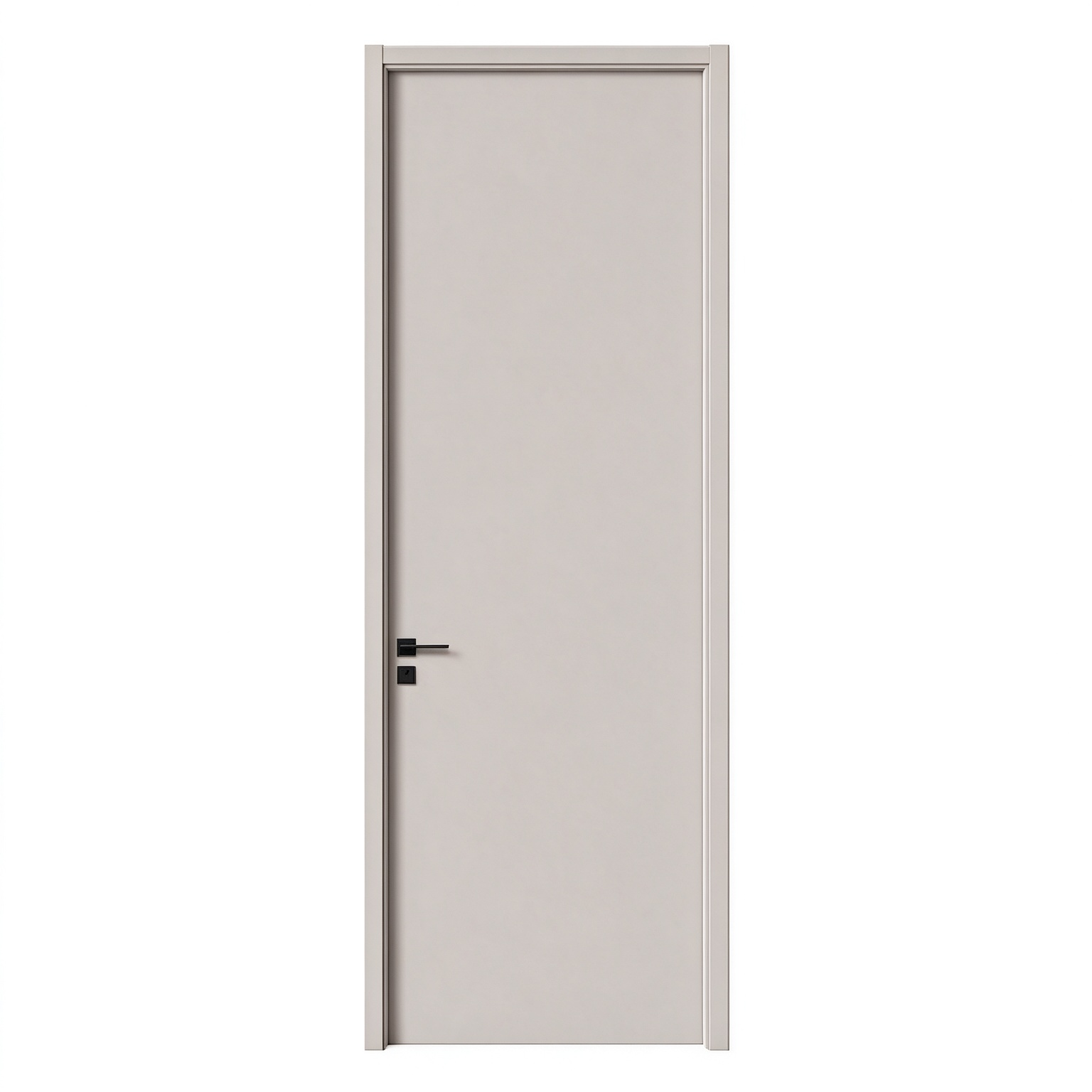 Solid Modern Door